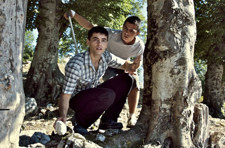 The albanian 3