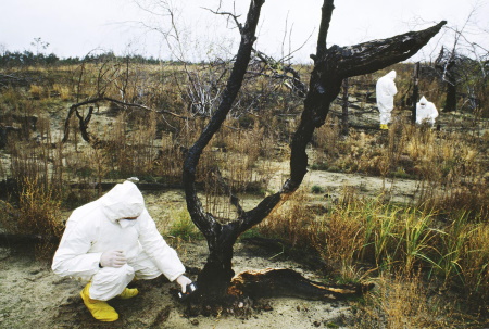 Chernobyl