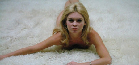 contempt