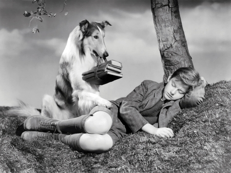 Lassie