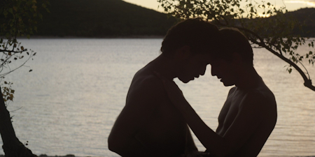Stranger_by_the_Lake_2013.jpg