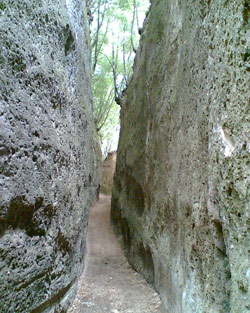 Vie Cave