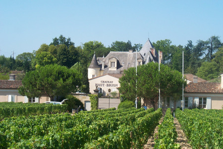 wines 1