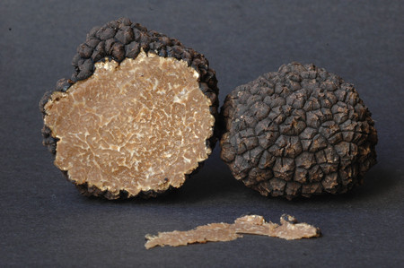 black Truffle