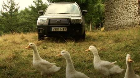 Passagem de Patos