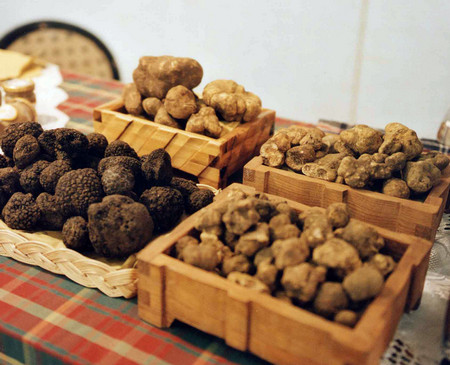 truffle market